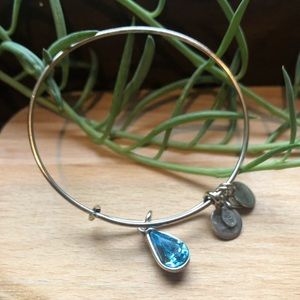 Alex and Ani Living Water Bangle Bracelet